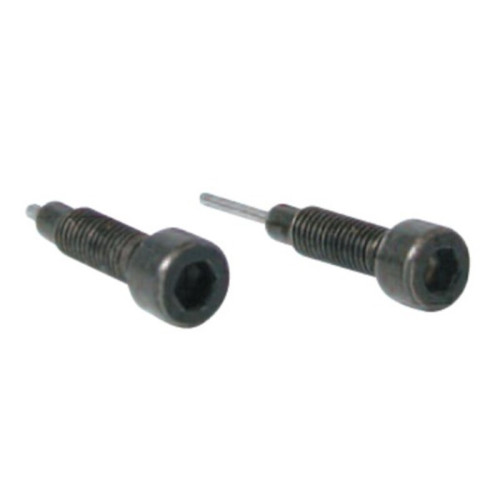 Set dos tornillos de recambio para herramienta cadenas distribución BUZZETTI