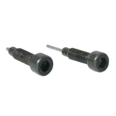 Set dos tornillos de recambio para herramienta cadenas distribución BUZZETTI