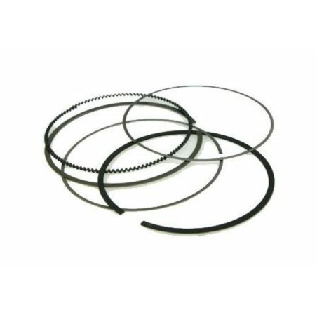 Segmento Vertex