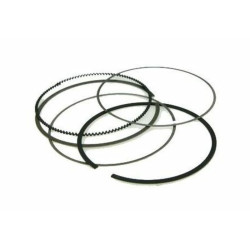 Segmento Vertex