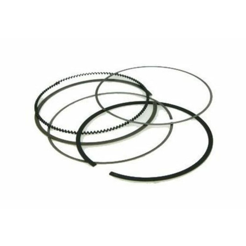Segmento Vertex