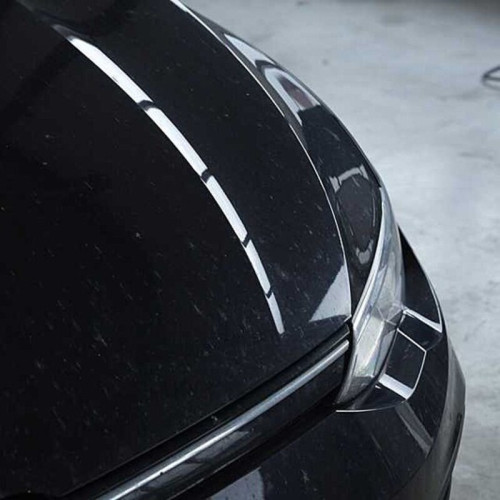 Limpiador quitainsectos LIQUI MOLY - Pulverizador 500ml
