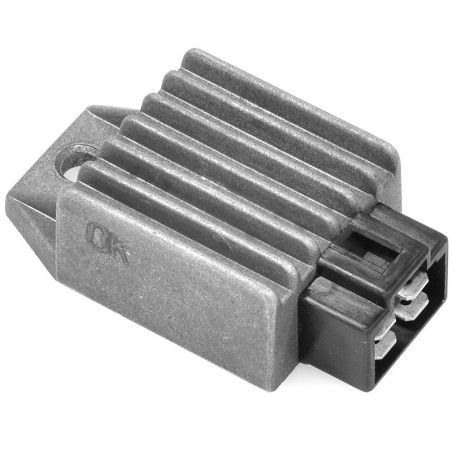 Regulador de corriente TECNIUM by DZE 12V 8A - C.A./C.C. - 4 Conectores